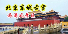 浪潮av操逼中国北京-东城古宫旅游风景区